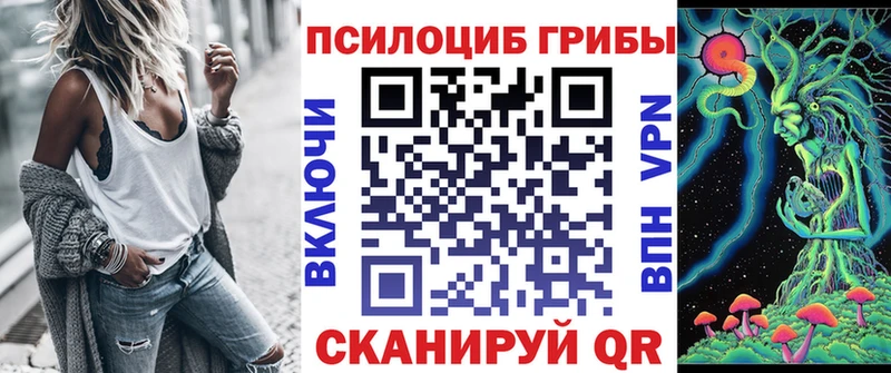 Галлюциногенные грибы Psilocybe  Купить закладки  Ульяновск 